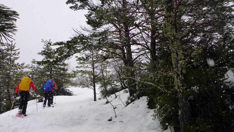 Raquetas de nieve en Bulgaria